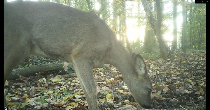 Foto 67 van 't Pad 13