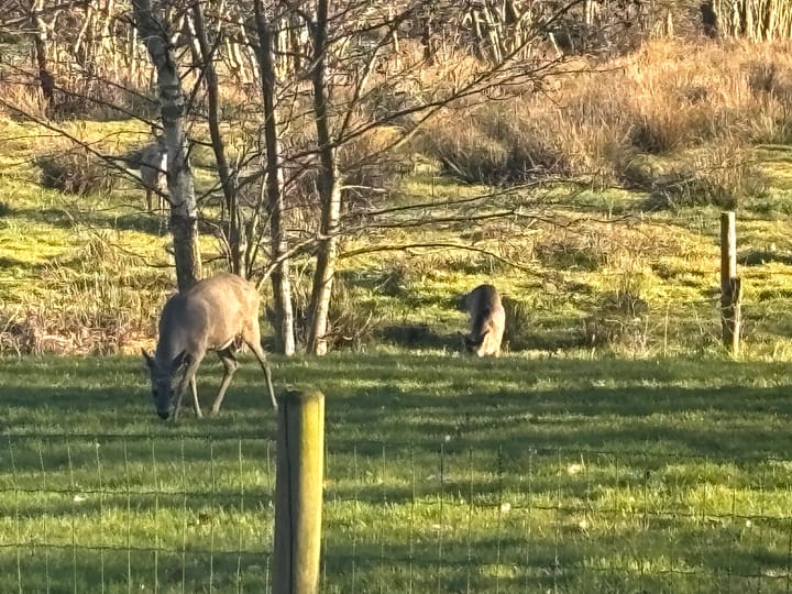 Foto 69 van 't Pad 13