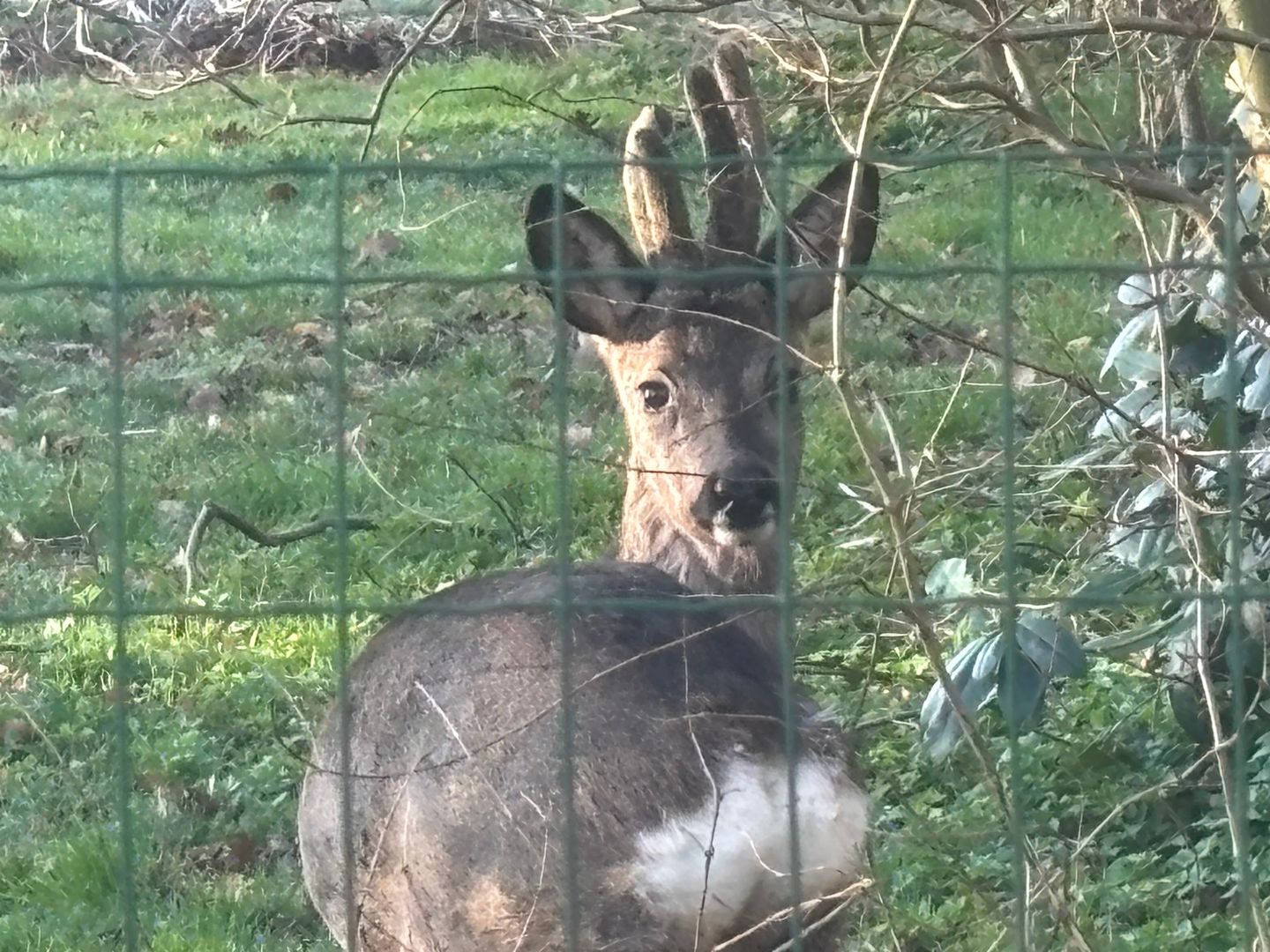 Photo 70 of 't Pad 13