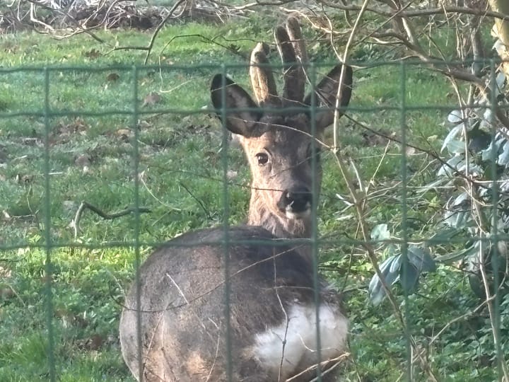 Foto 70 van 't Pad 13