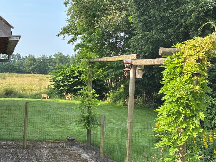 Foto 71 van 't Pad 13