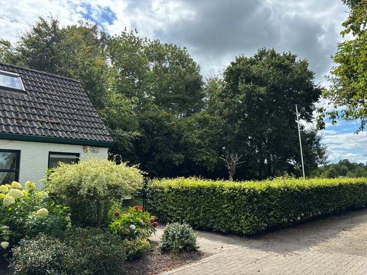 Foto 80 van 't Pad 13