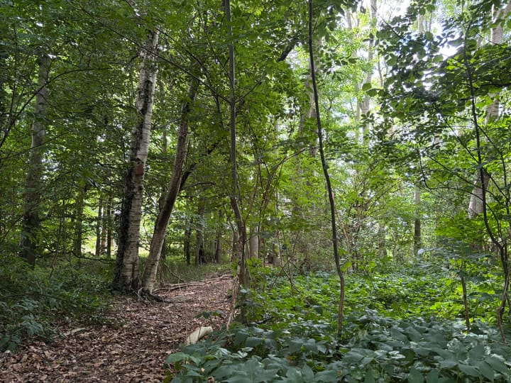 Foto 83 van 't Pad 13