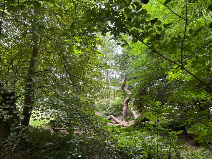 Foto 84 van 't Pad 13