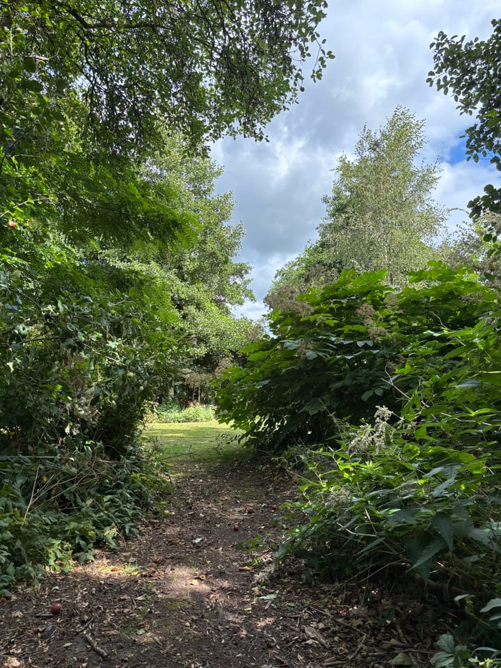 Foto 86 van 't Pad 13