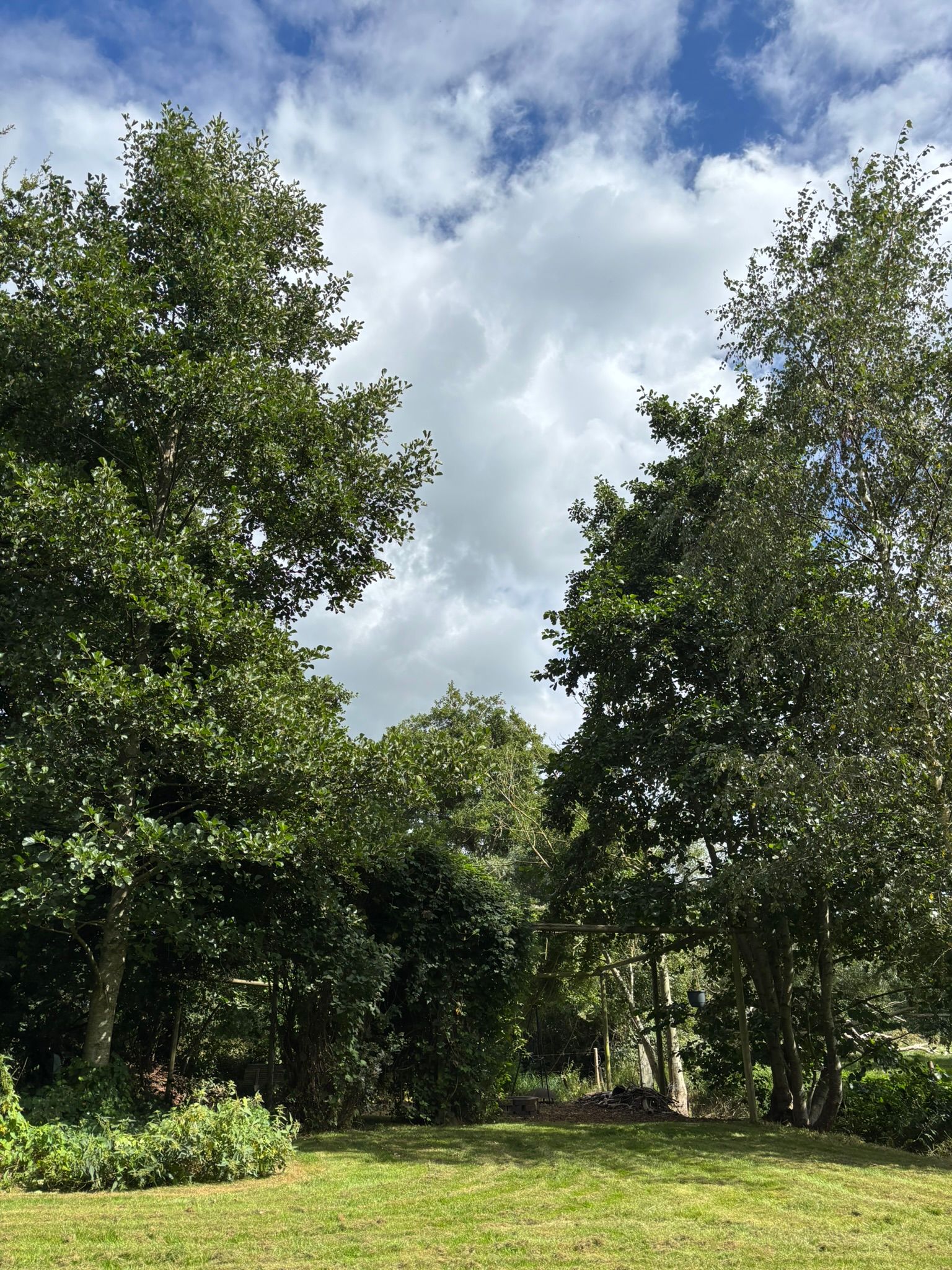 Photo 87 of 't Pad 13