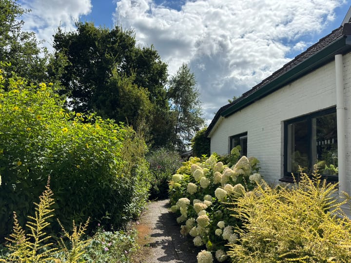 Foto 88 van 't Pad 13