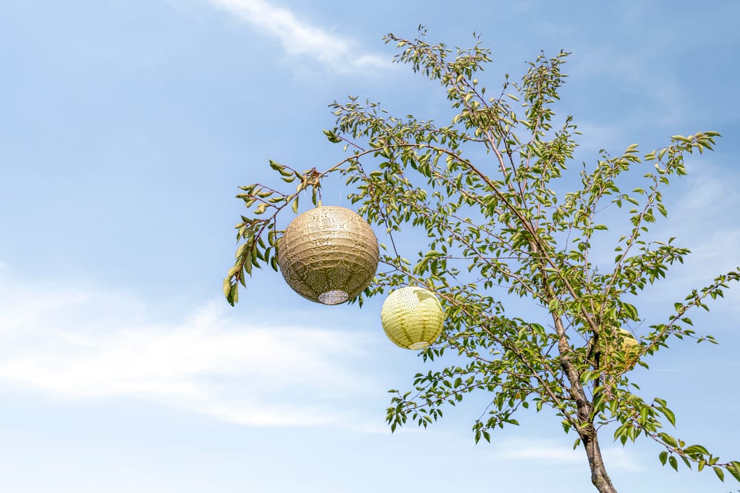 Foto 113 van Julianastraat 9