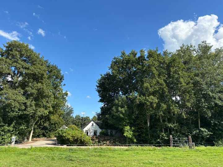 Foto 98 van 't Pad 13