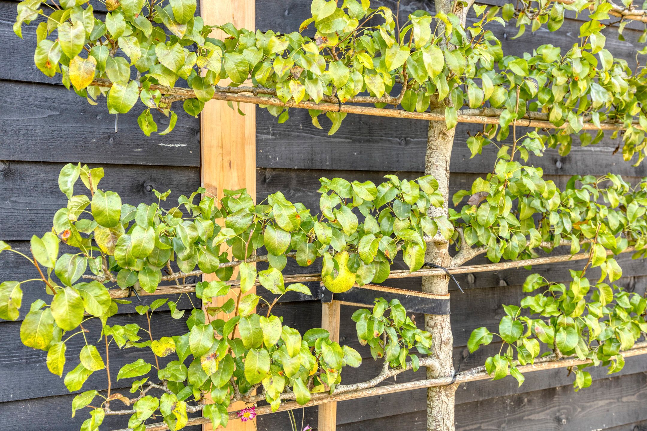 Foto 114 van Julianastraat 9