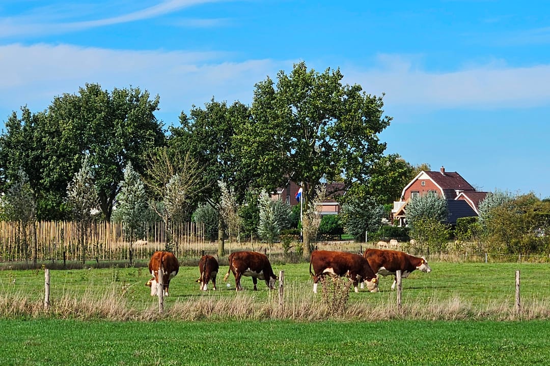 Foto 122 van Julianastraat 9