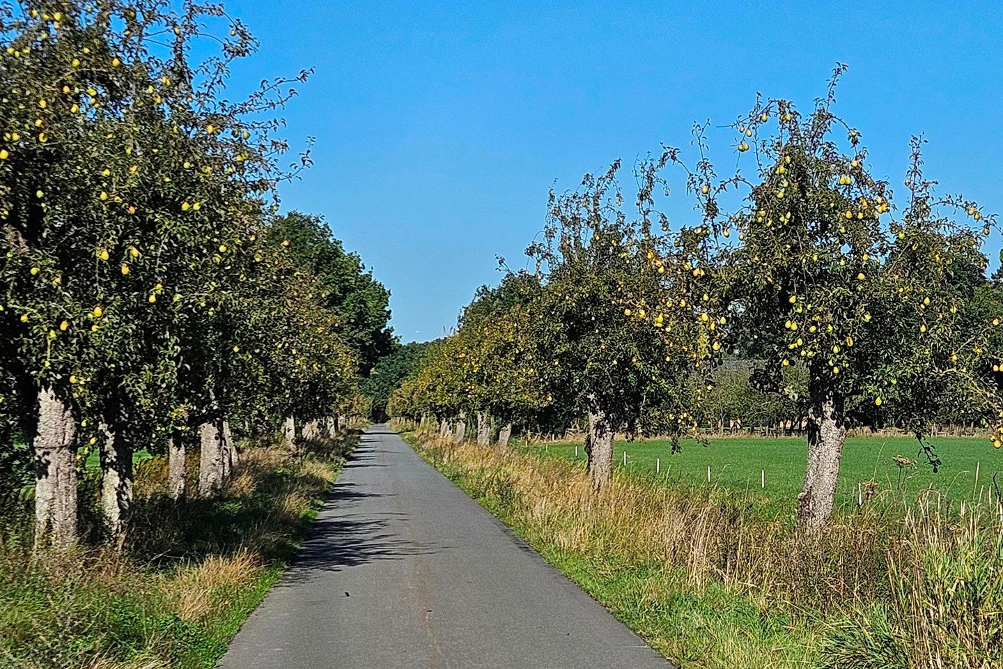 Foto 125 van Julianastraat 9