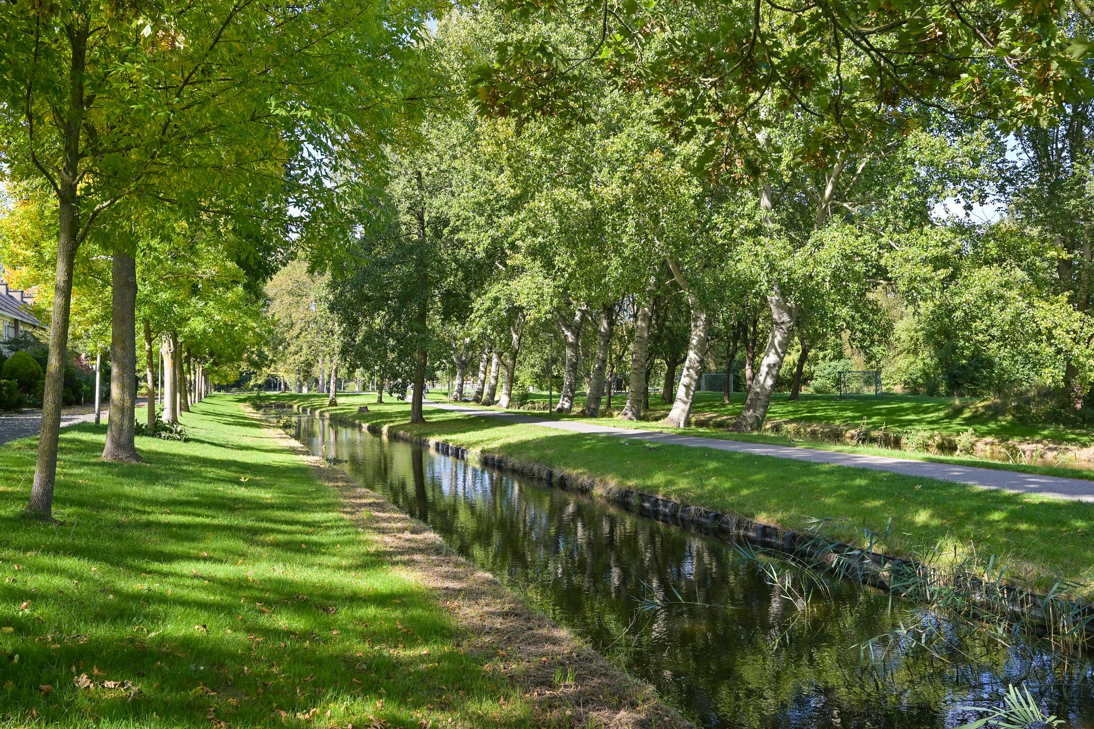 Foto 30 van Van Polanenpark 160