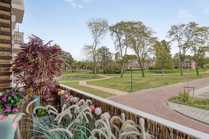 Foto 20 van Anemoonstraat 24