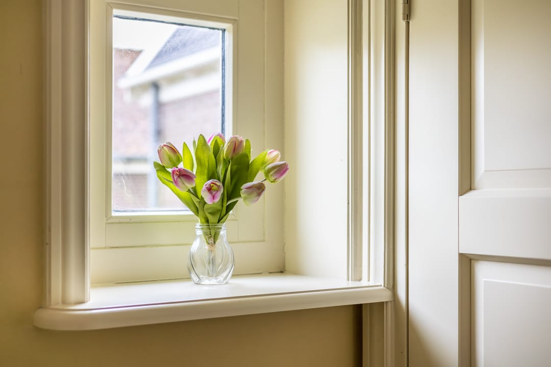 Foto 13 van Warder 36