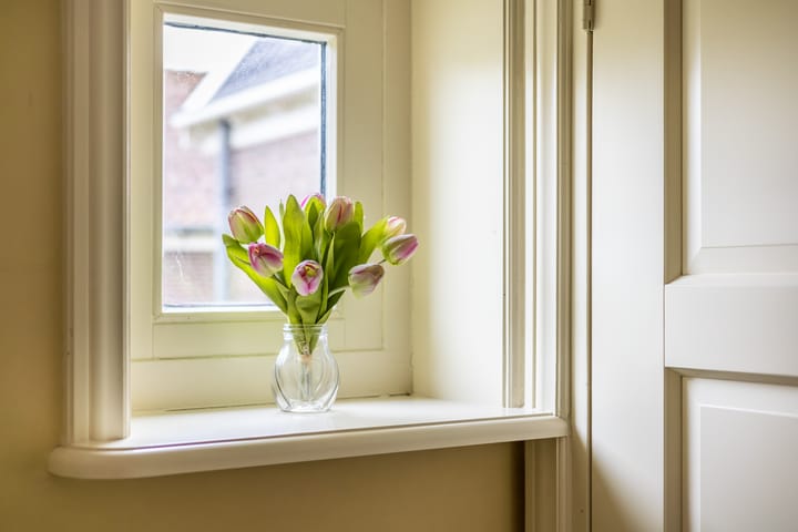 Foto 13 van Warder 36