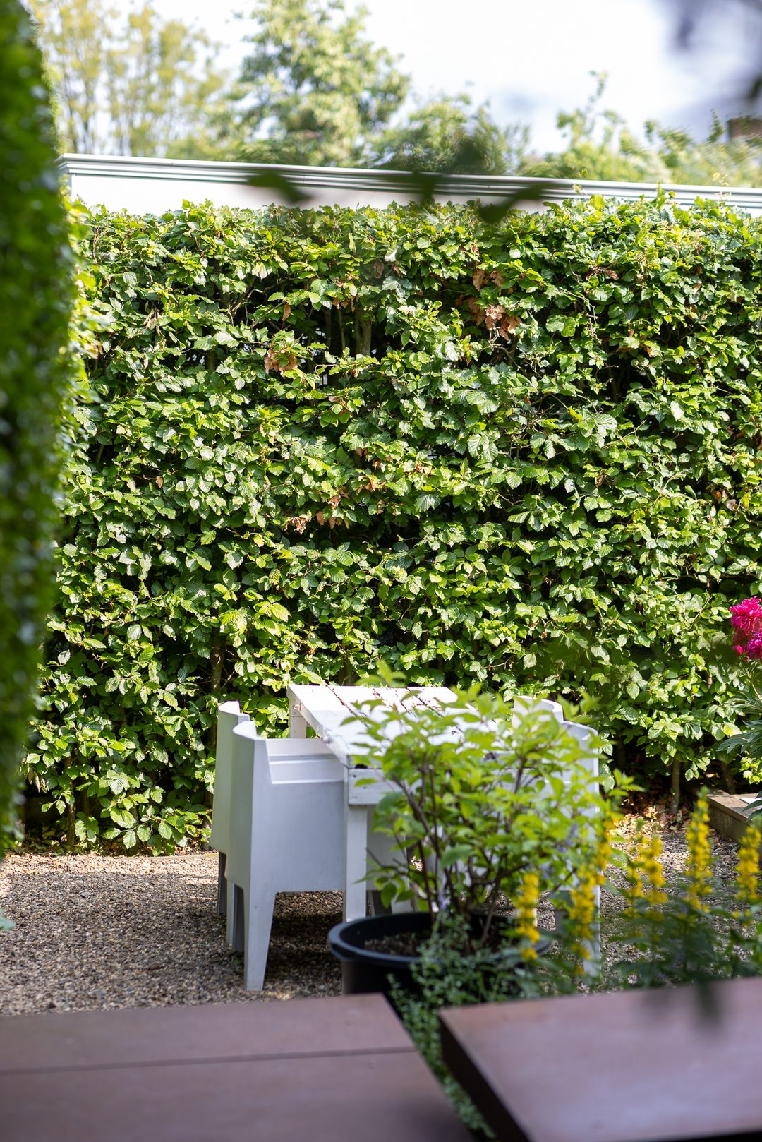 Foto 62 van Professor Bolklaan 7