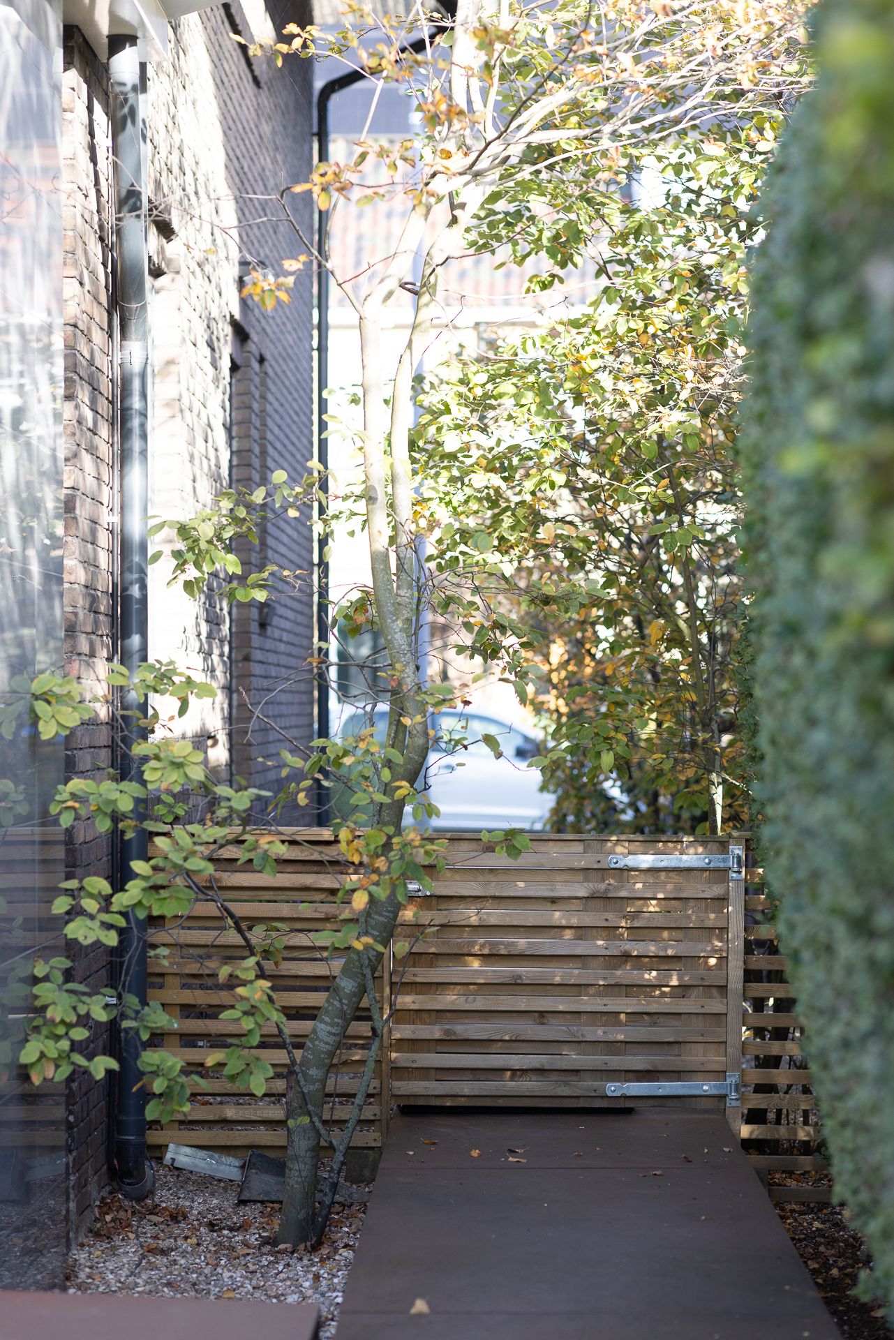 Foto 65 van Professor Bolklaan 7