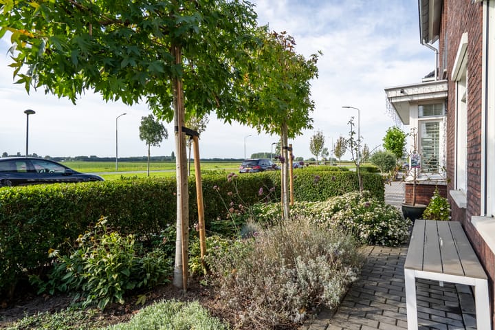 Foto 6 van Bruine Eikenpage 60