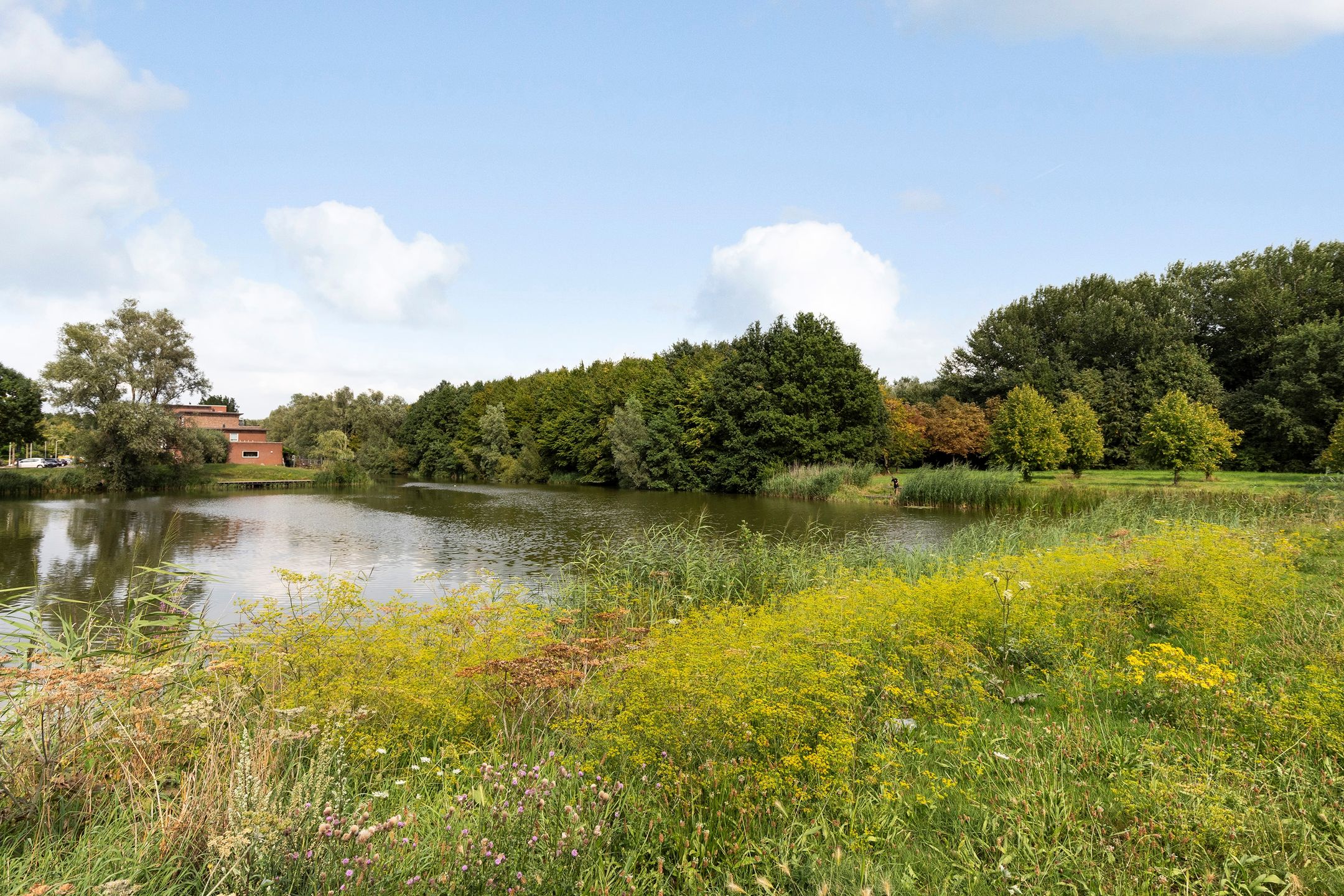 Foto 42 van Simon Vestdijksingel 147