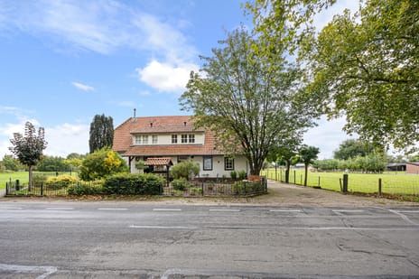 undefined main image