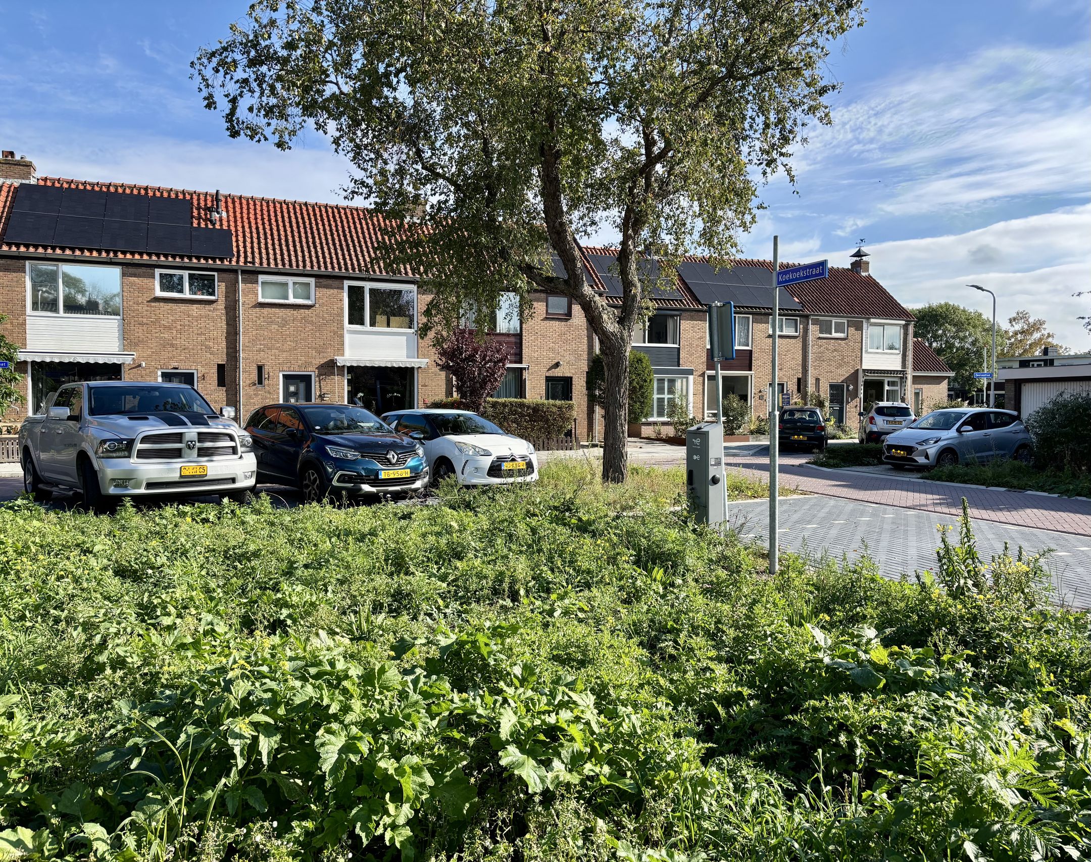 Foto 3 van Zwaluwstraat 4