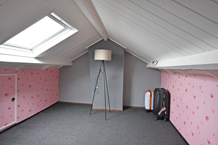 Foto 47 van Dahlia-strjitte 47