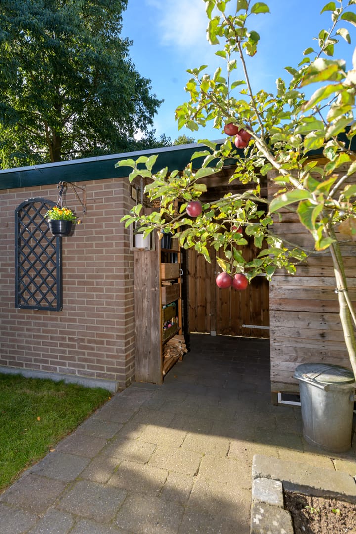 Foto 19 van Salomonszegel 22