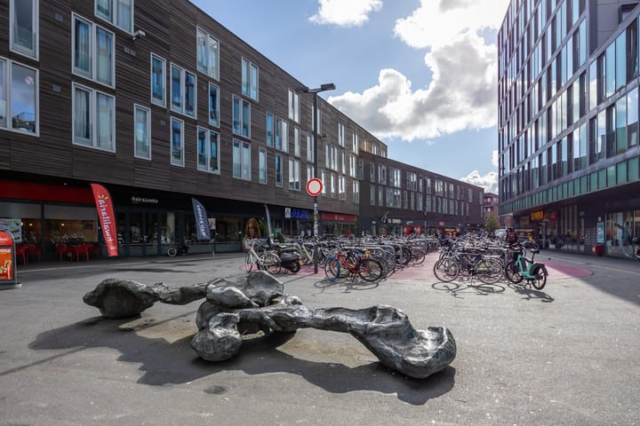 Foto 31 van Eerste Hunzestraat 36