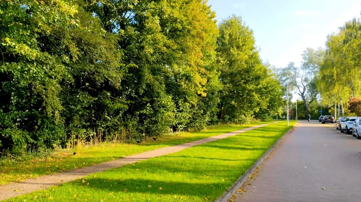 Foto 84 van Prins Bernhardstraat 54