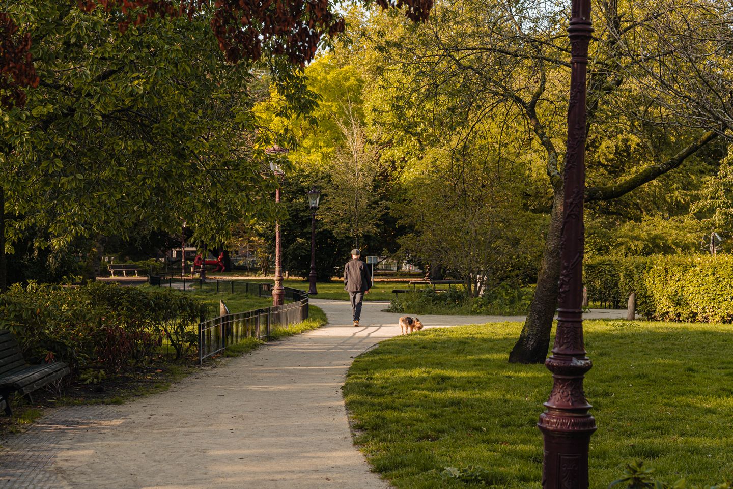 Foto 29 van Fagelstraat 64-1