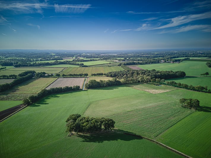 Foto 14 van Brandlichterweg 99