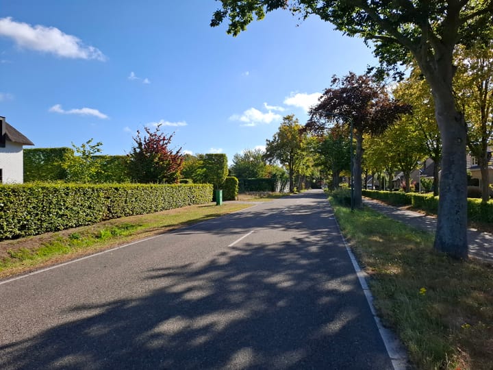 Foto 6 van Vianendreef 76