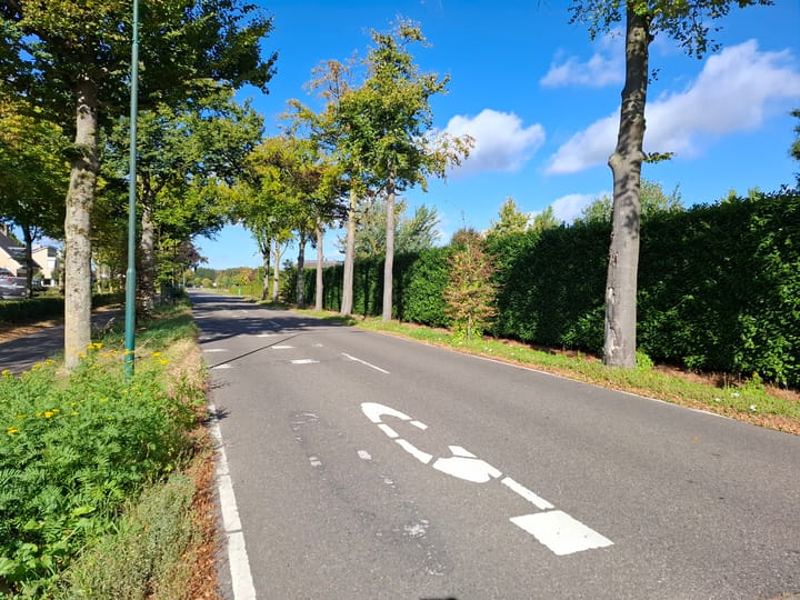 Foto 7 van Vianendreef 76