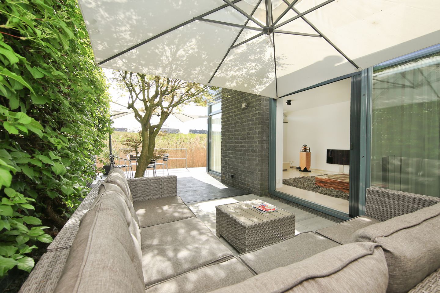 Foto 29 van Monte Viso 19