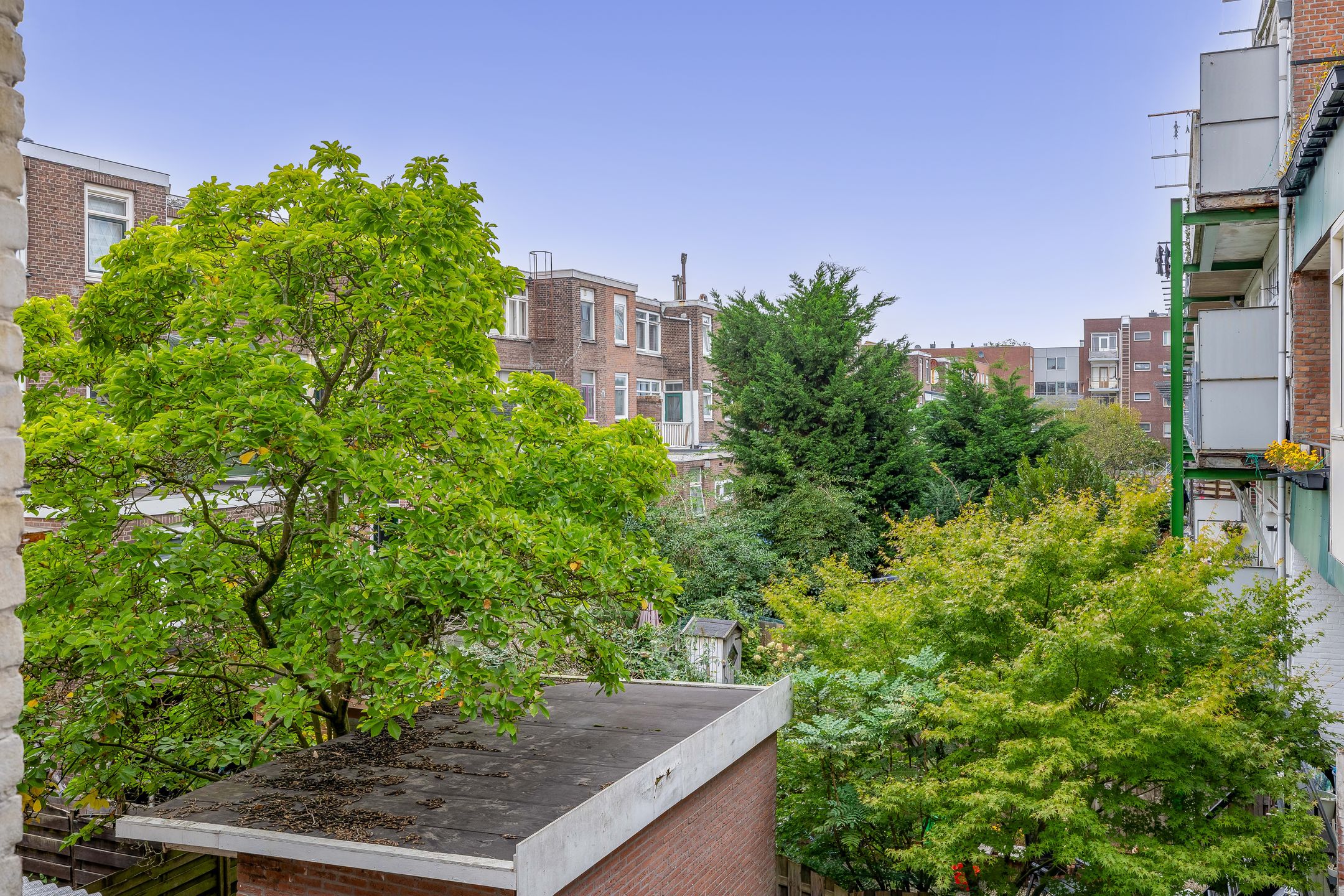 Foto 36 van Snelliussingel 6-B