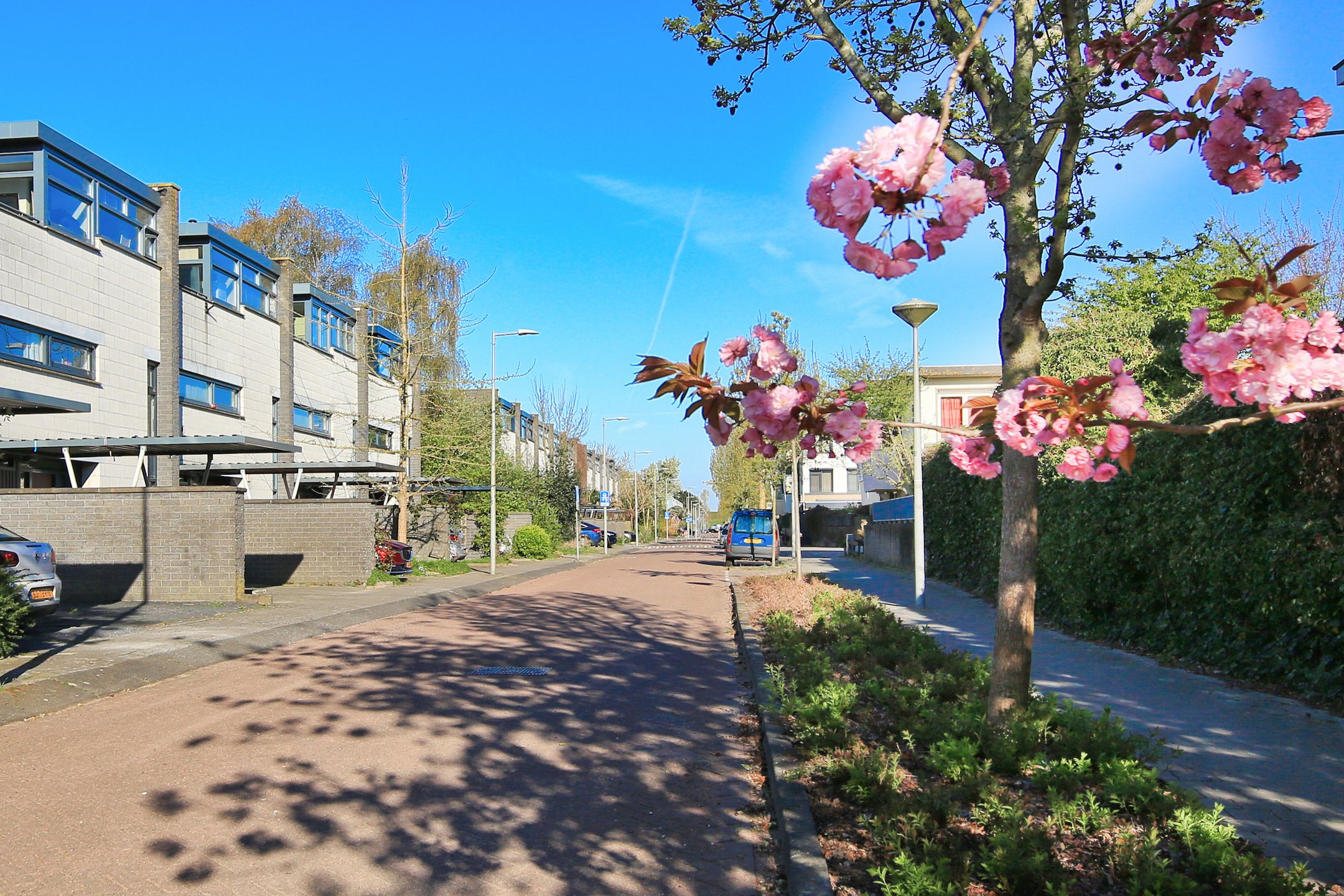 Foto 63 van Monte Viso 19