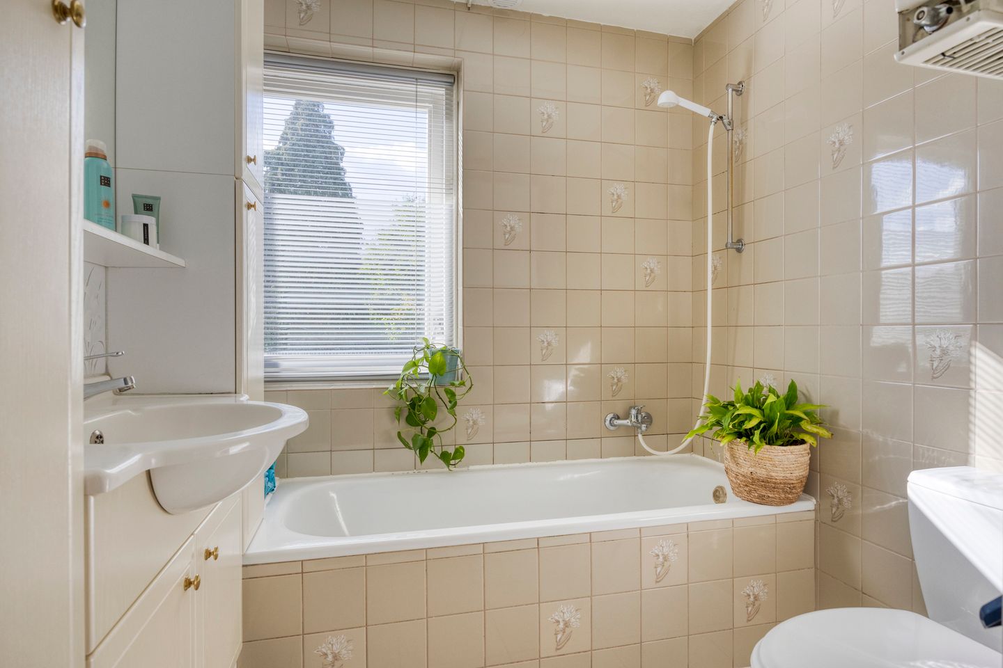 Foto 29 van Veenbes 26