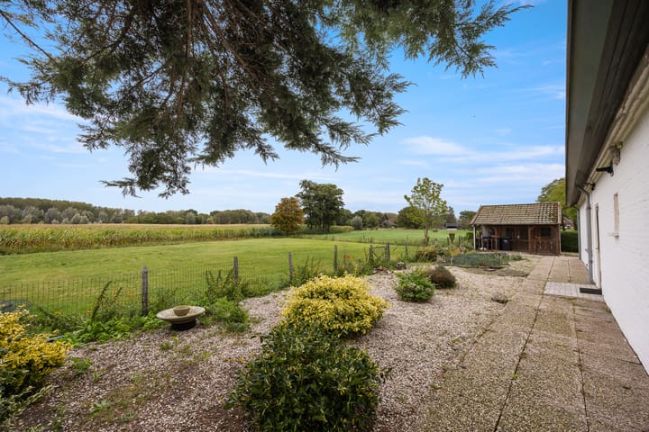 Foto 36 van Broerstraat 5