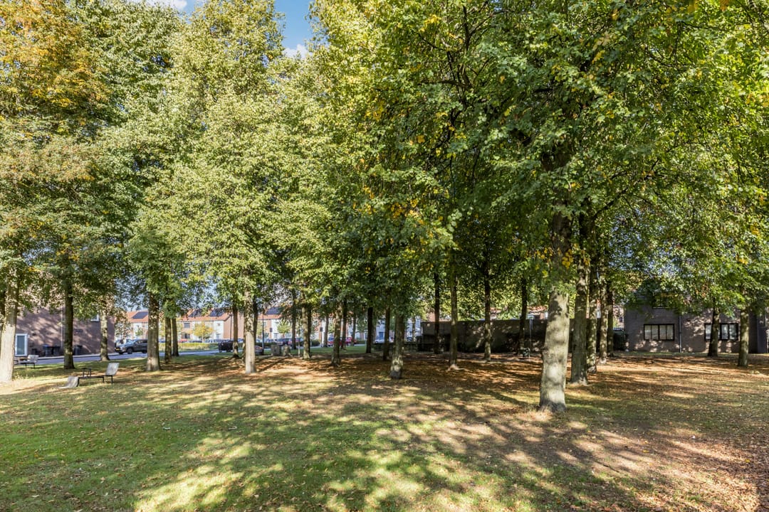 Foto 26 van Brasemstraat 23