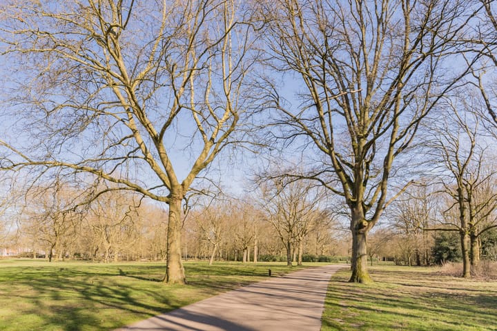 Foto 28 van Brasemstraat 23