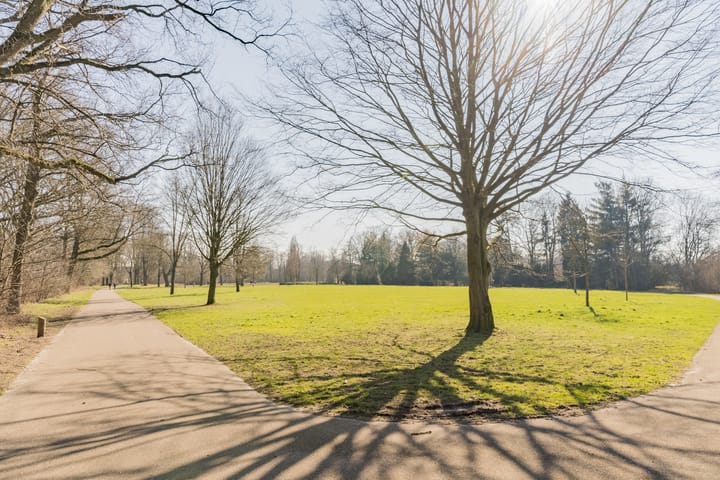 Foto 29 van Brasemstraat 23