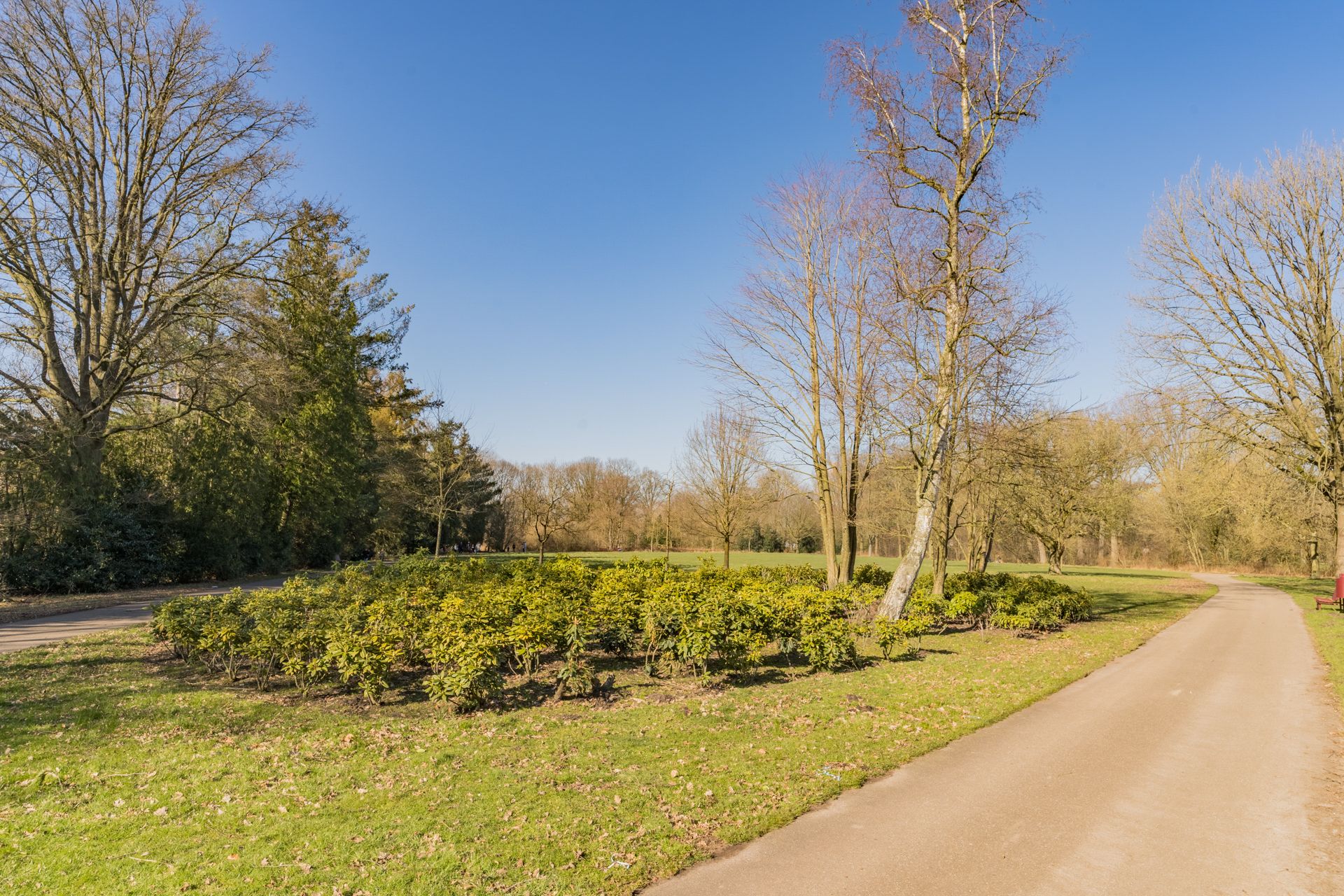 Foto 30 van Brasemstraat 23