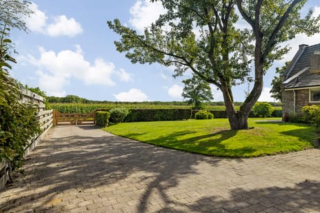 10e Wyk 4 tertiary image