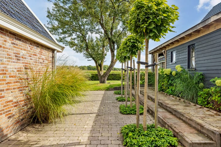 Photo 52 of 10e Wyk 4