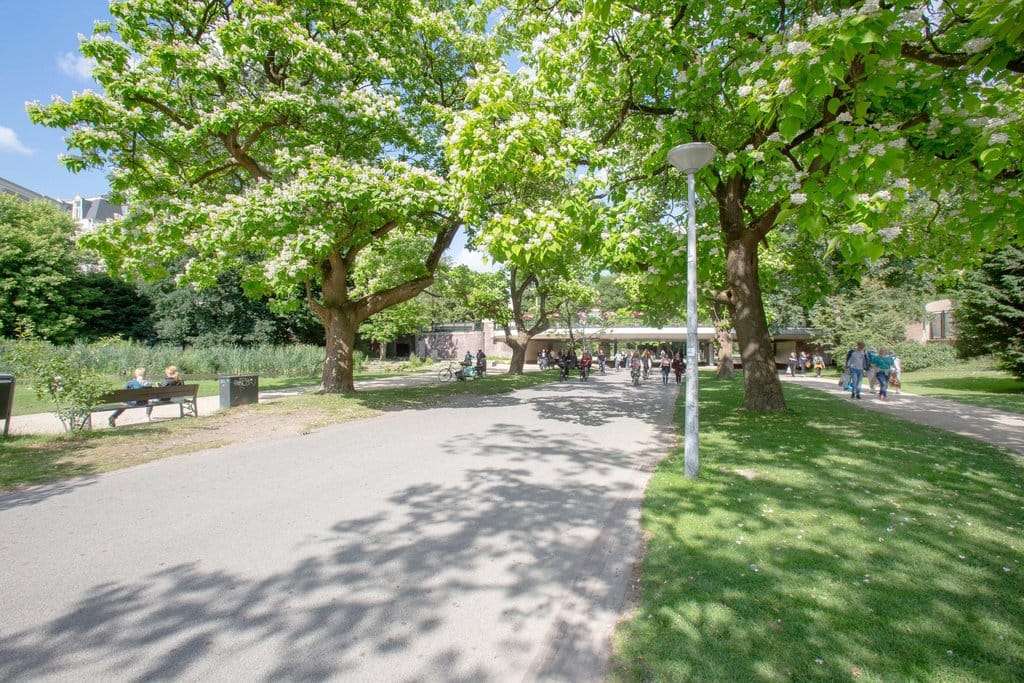 Photo 27 of Overtoom 392-3