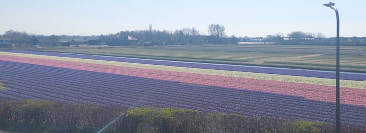 Foto 2 van Kennemerbeekweg 37