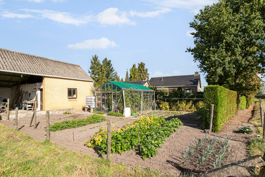 Foto 41 van Hoefstraat 25