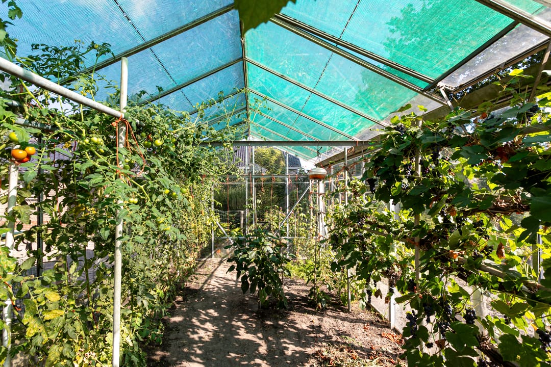 Foto 43 van Hoefstraat 25