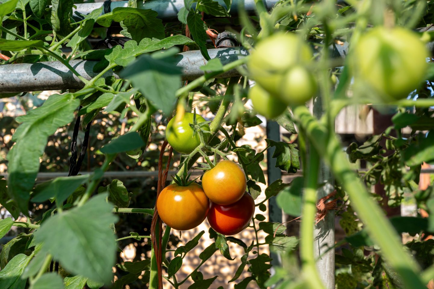 Foto 44 van Hoefstraat 25